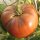 Pomodoro Old German (Solanum lycopersicum) semi