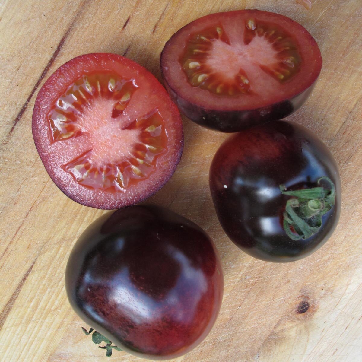 Pomodoro 'Indigo Rose' (Solanum lycopersicum) semi
