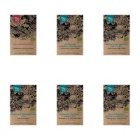 Piante colorate e ricche di nettare (bio) - Set regalo di semi
