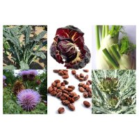 Antiche varietà di ortaggi italiani (bio) - Set regalo di semi