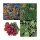 Fioriera di verdure da balcone (bio) - Set regalo di semi