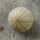 Melone cantalupo Retato degli ortolani (Cucumis melo) biologico semi