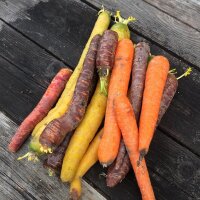 Miscela di carote (organica)