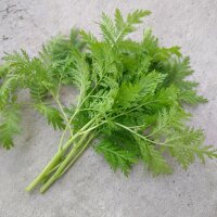 Qing Hao / artemisia annuale (Artemisia annua) biologica...