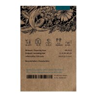 Qing Hao / artemisia annuale (Artemisia annua) biologica semi
