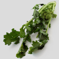 Cima di Rapa (Brassica rapa sylvestris) biologica semi