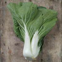 Cavolo cinese / pak choi Tai Sai (Brassica rapa, subsp....