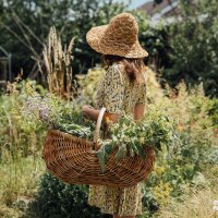Periodo Magico - Calendario dellAvvento dei semi biologici - Il meraviglioso mondo delle erbe