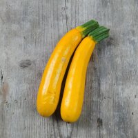 Zucchina gialla Golden (Cucurbita pepo)