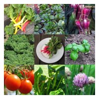 Verdure per principianti da coltivare nellorto rialzato (bio) - Set regalo di semi