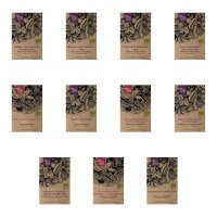 Ortaggi per aiuola rialzata per principianti (biologico) - Set regalo di semi