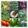 Ortaggi per aiuola rialzata per principianti (biologico) - Set regalo di semi