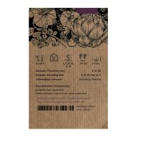 Miscela di carote (Daucus carota) semi