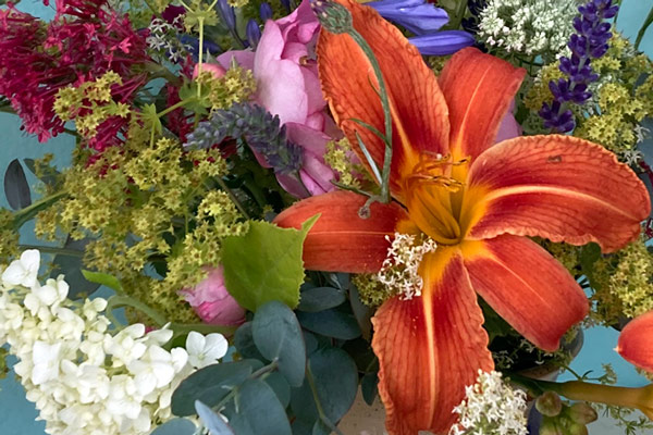 Fuoco, fiori, profumo di erbe: celebra la magia della notte di mezza estate  Blogpost Illustration