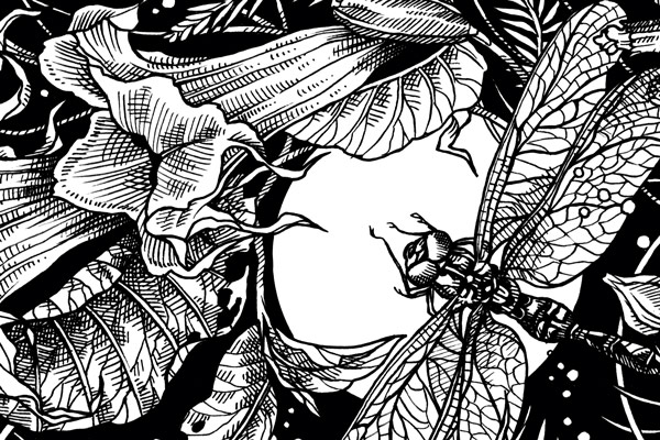 Earth Night: quando il giardino diventa buio  Blogpost Illustration